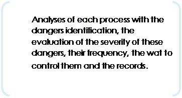 Parenth&egrave;ses: Analyses of each process with the dangers identification, the evaluation of the severity of these dangers, their frequency, the wat to control them and the records. 