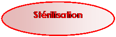 Ellipse: St&eacute;rilisation